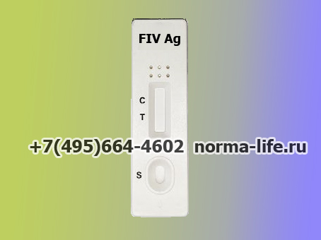 FIV_Ab.jpg