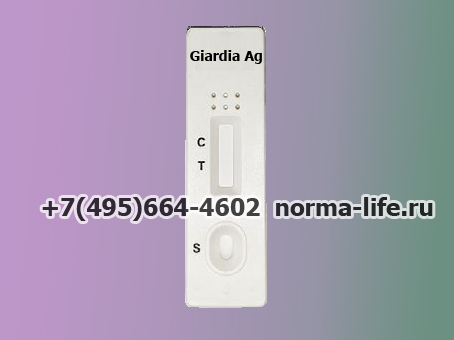 Giardia_Ag.jpg